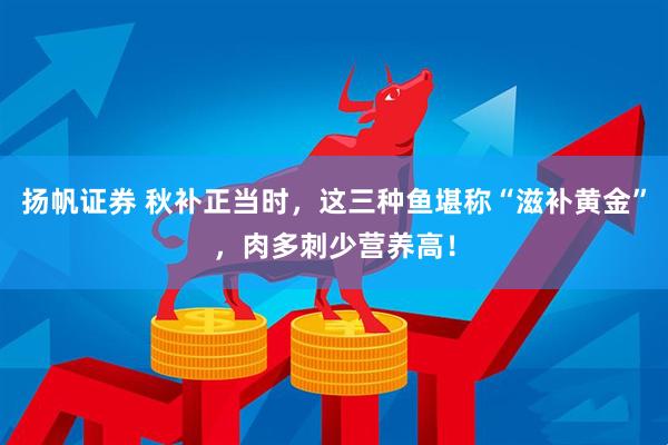 扬帆证券 秋补正当时，这三种鱼堪称“滋补黄金”，肉多刺少营养高！