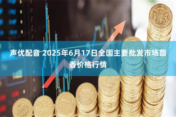 声优配音 2025年6月17日全国主要批发市场茴香价格行情