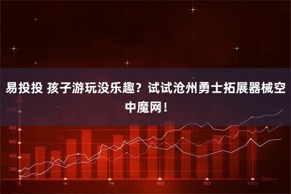 易投投 孩子游玩没乐趣？试试沧州勇士拓展器械空中魔网！