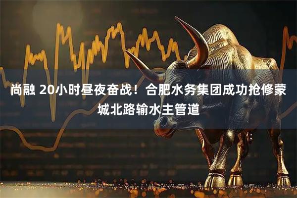 尚融 20小时昼夜奋战！合肥水务集团成功抢修蒙城北路输水主管道