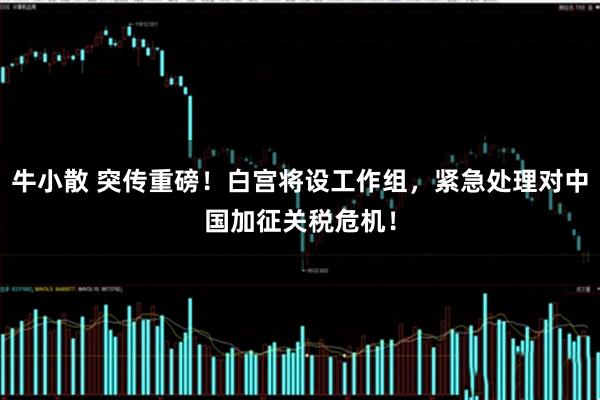 牛小散 突传重磅！白宫将设工作组，紧急处理对中国加征关税危机！