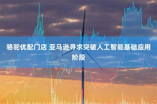 骆驼优配门店 亚马逊寻求突破人工智能基础应用阶段